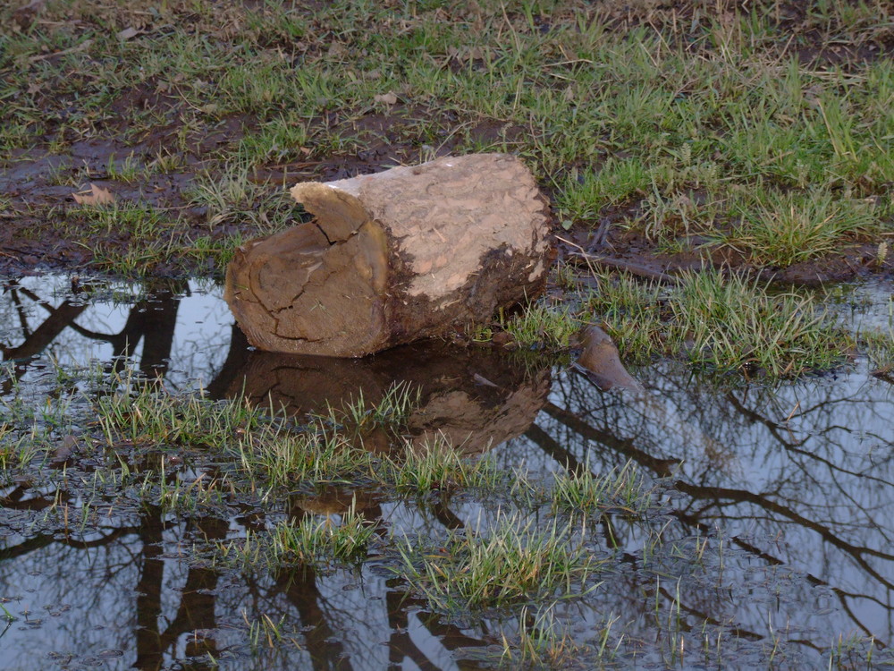 Hochwasser