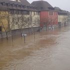 Hochwasser 4_Würzburg_17.1.2011