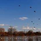 Hochwasser