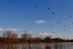 Hochwasser