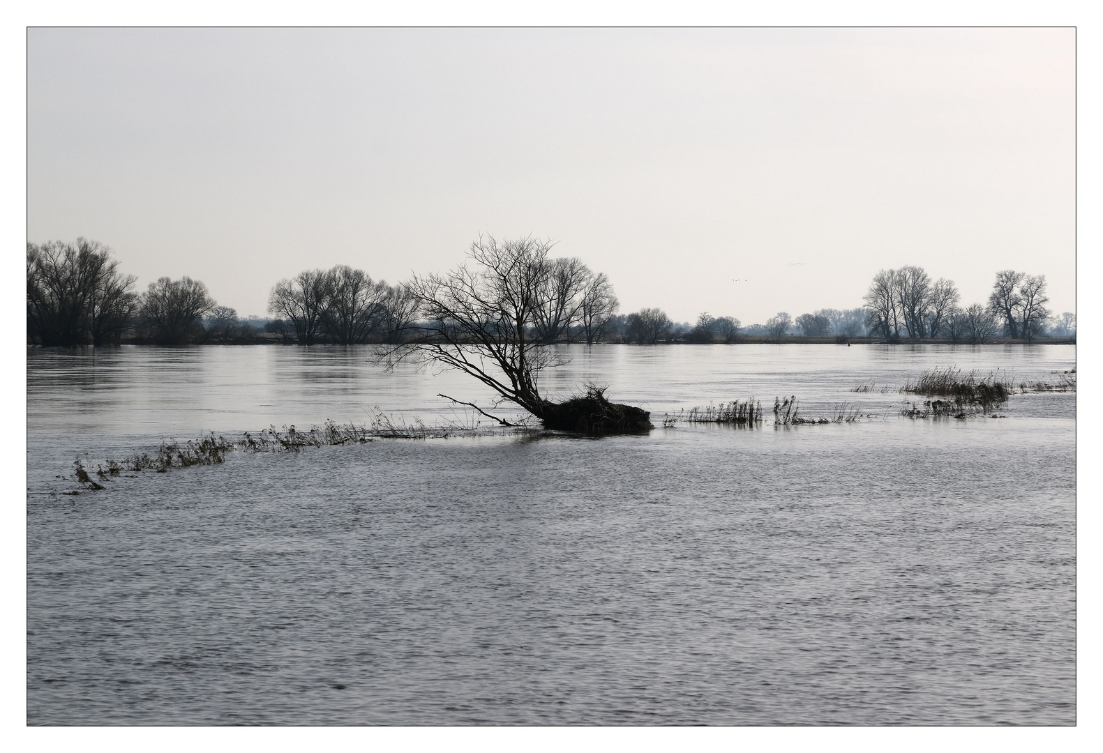 hoch.wasser