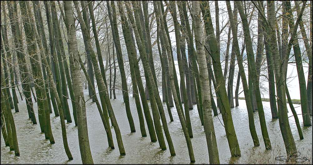 hochwasser