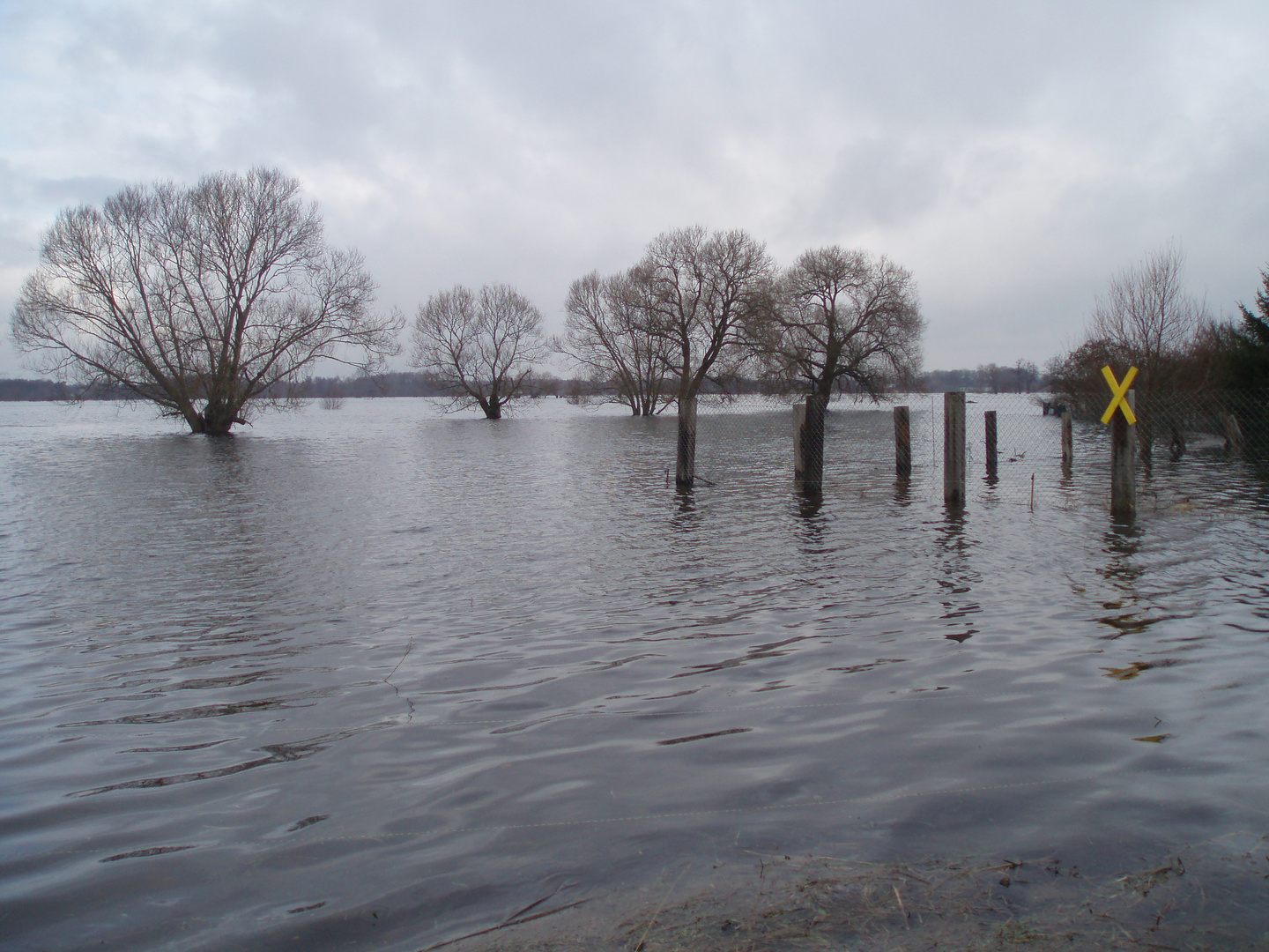 hochwasser...