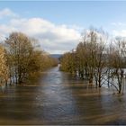 Hochwasser (6)