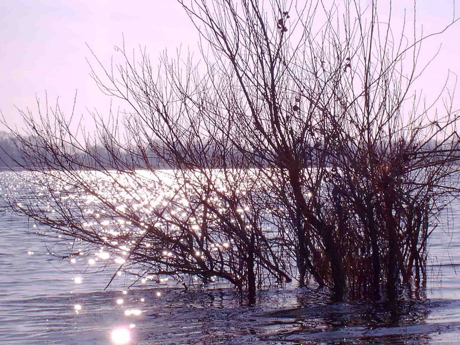 hochwasser