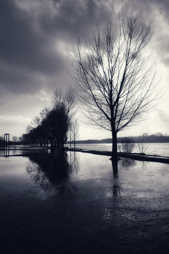 HOCHWASSER 