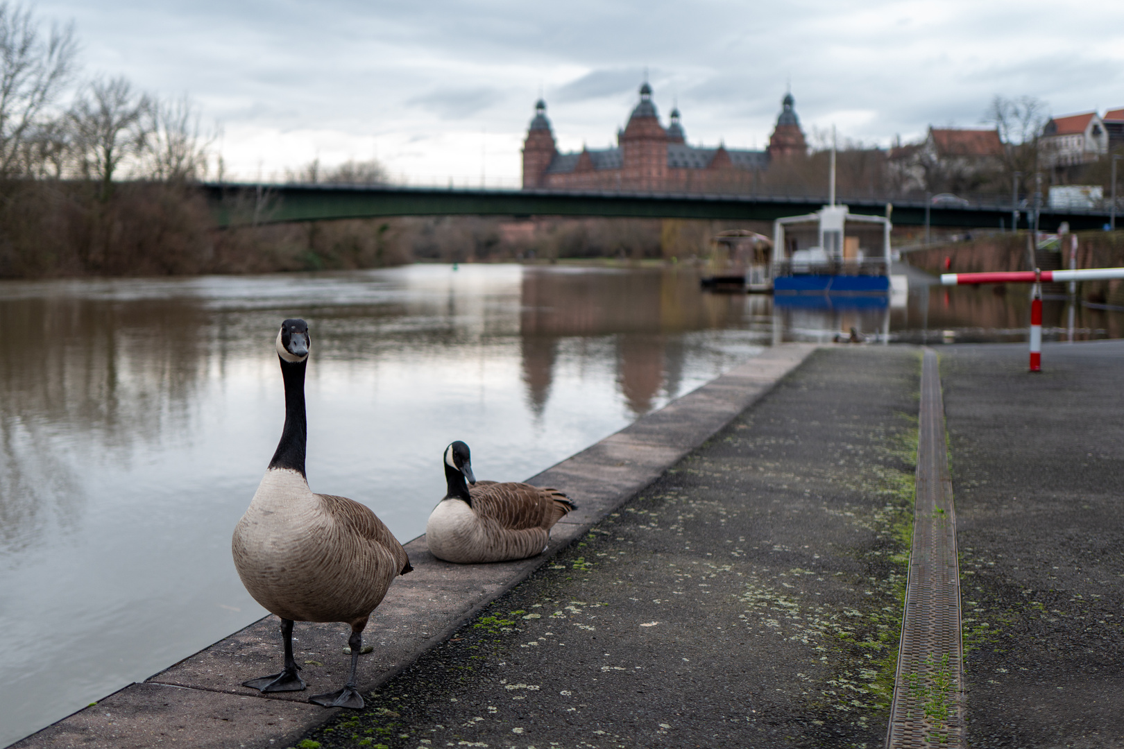 Hochwasser