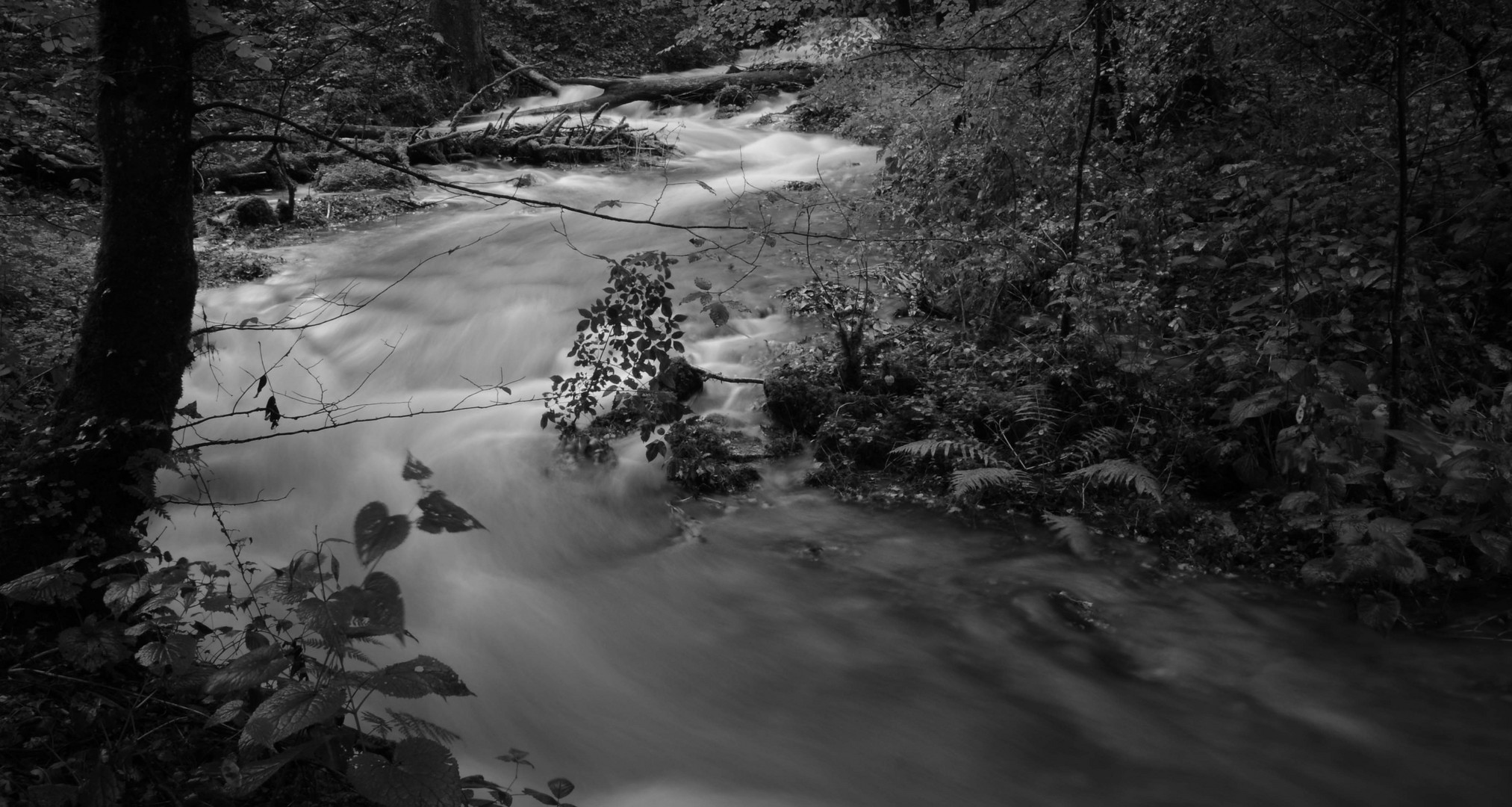 Hochwasser