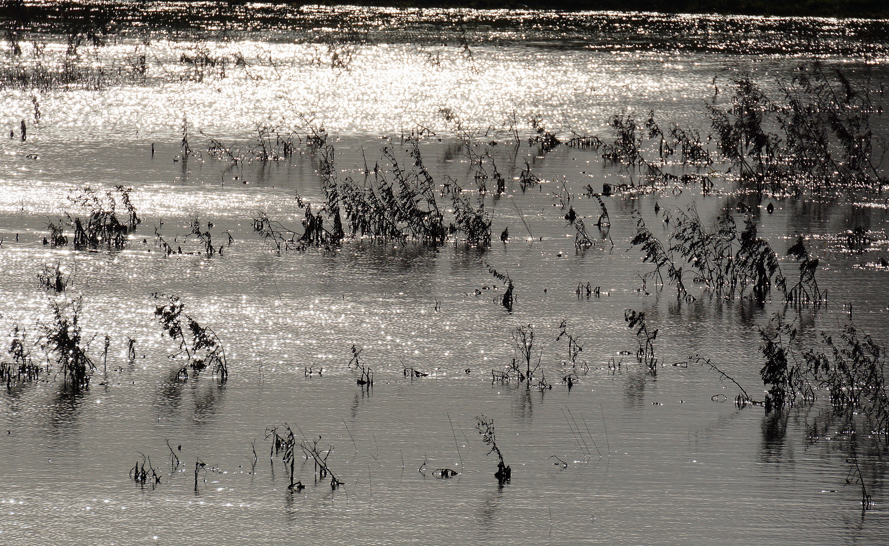 Hochwasser.