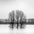 Hochwasser