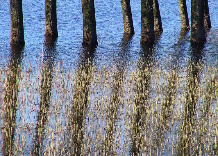 Hochwasser