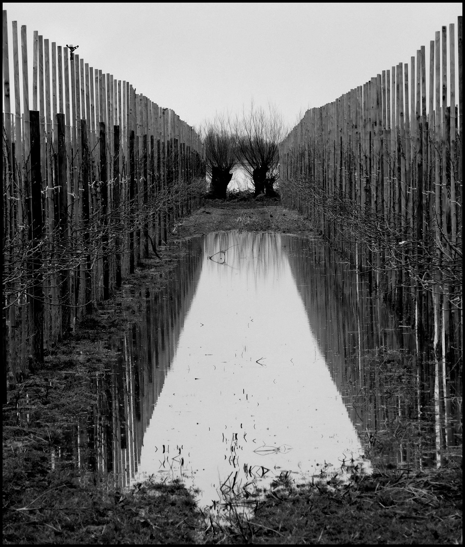 Hochwasser