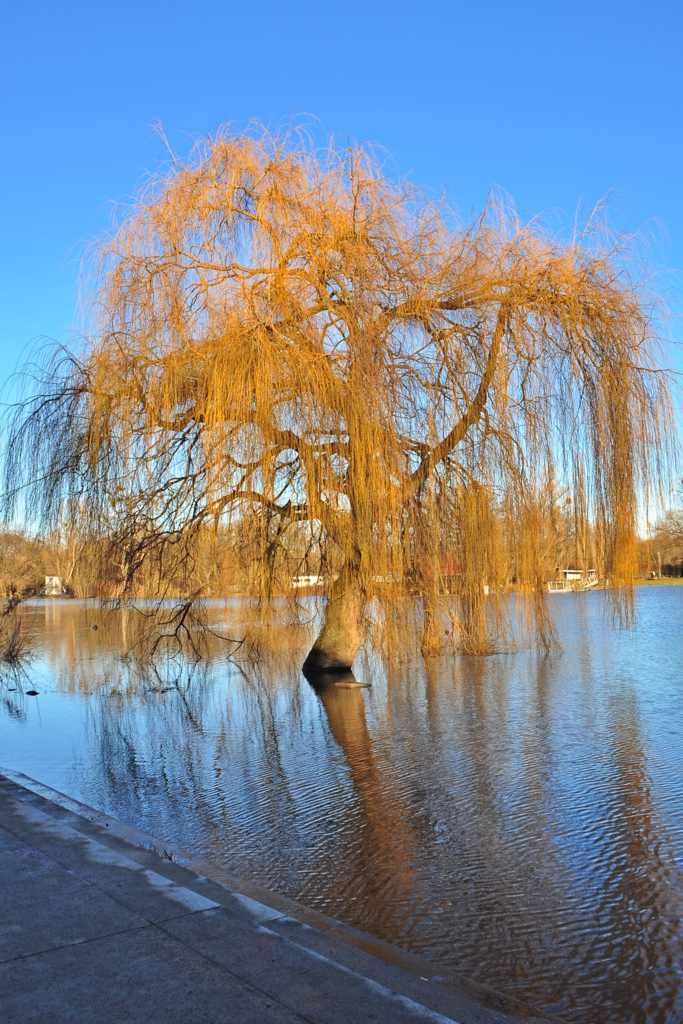 Hochwasser