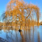 Hochwasser