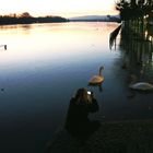 Hochwasser