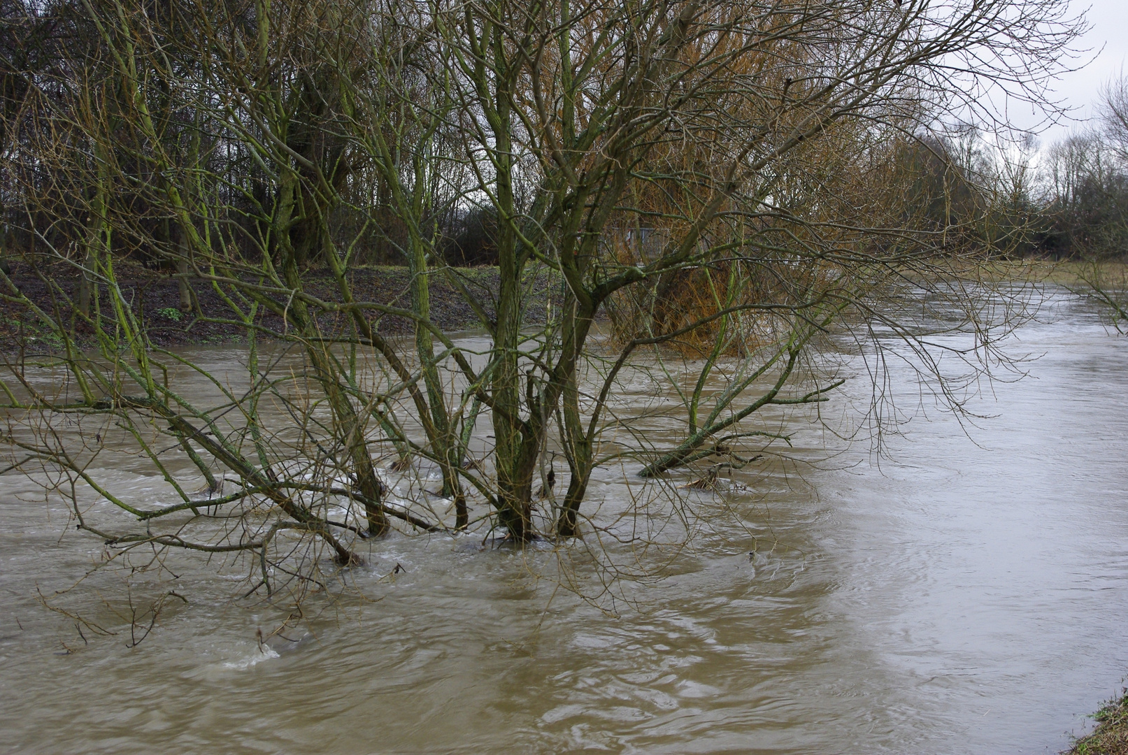 Hochwasser