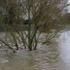 Hochwasser