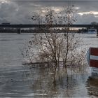 Hochwasser 