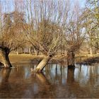 Hochwasser ...