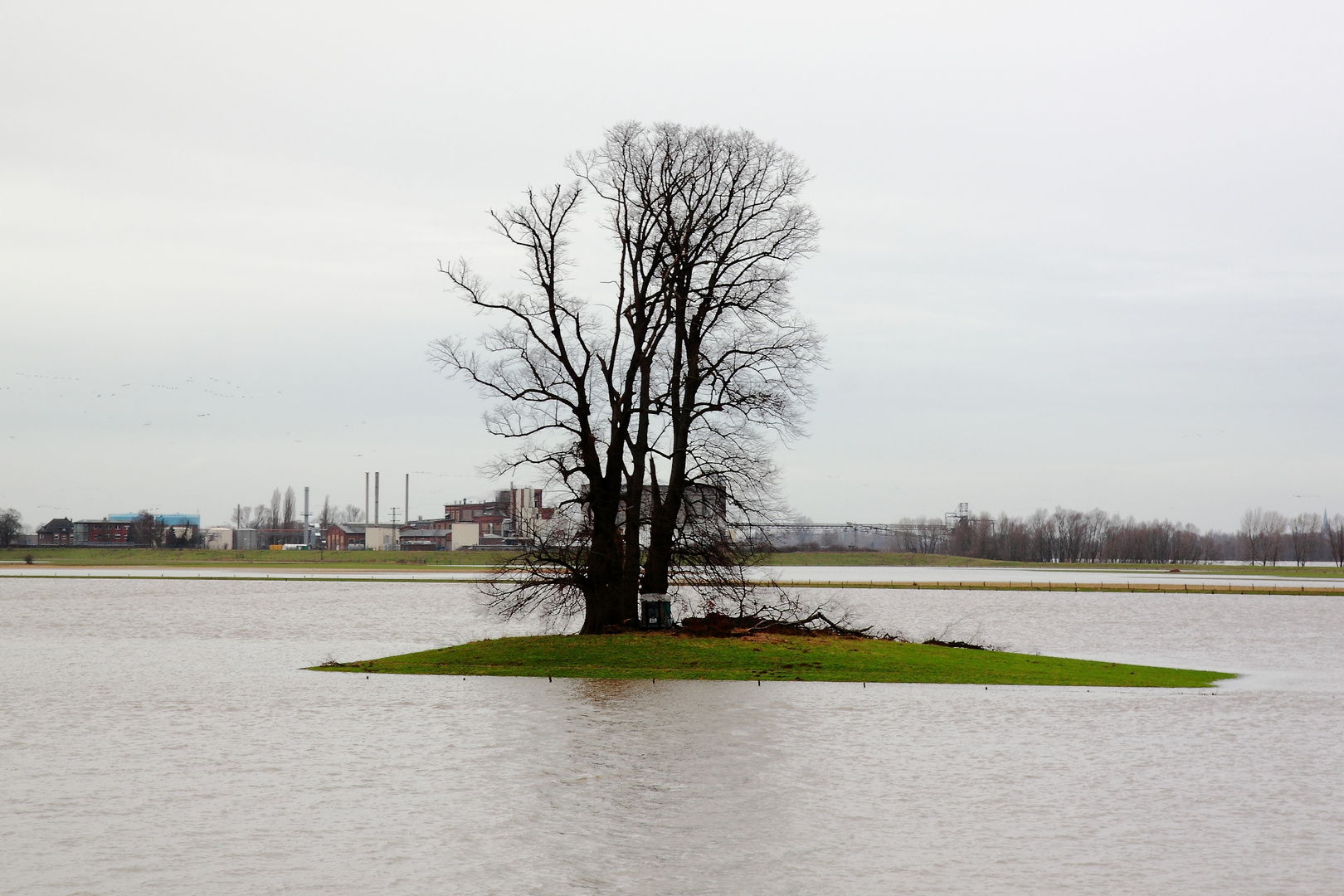 Hochwasser