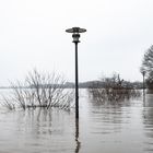 Hochwasser