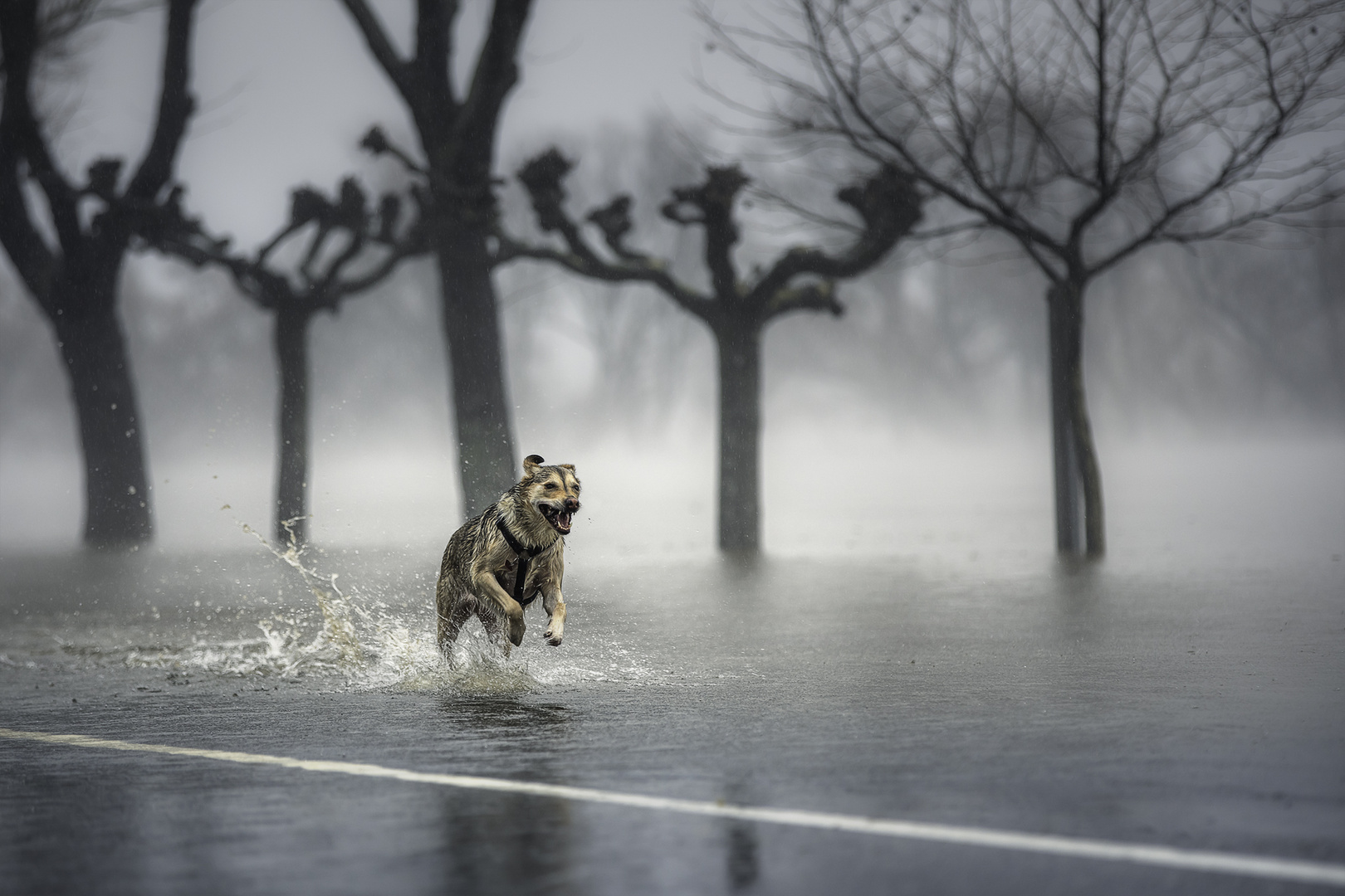 ... Hochwasser ...