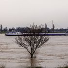 Hochwasser