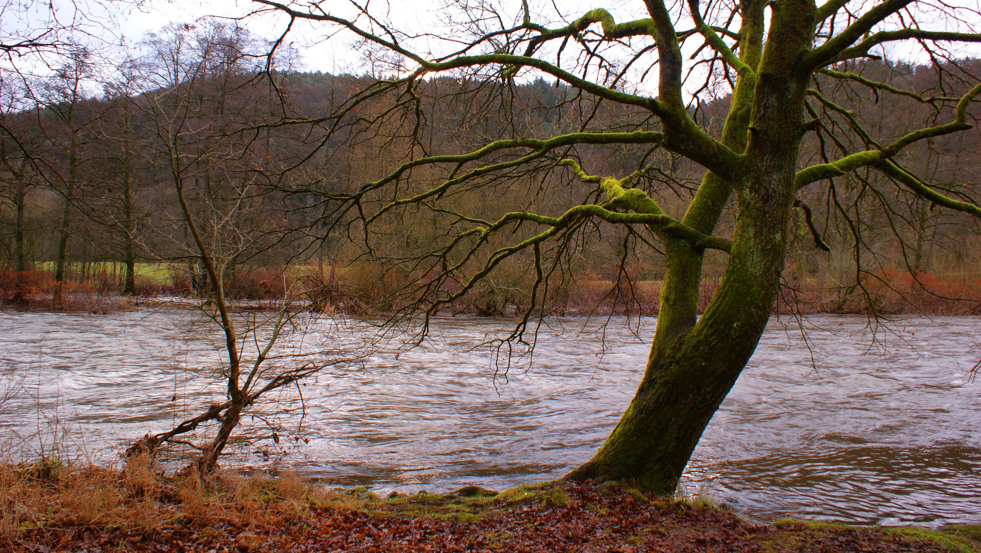 Hochwasser