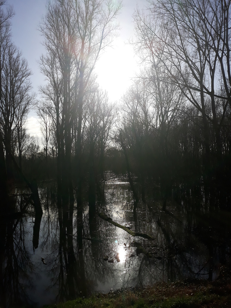 Hochwasser