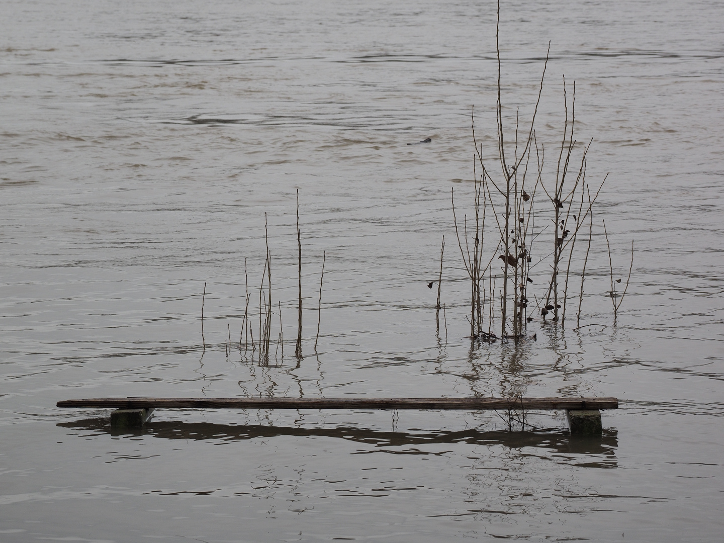 Hochwasser