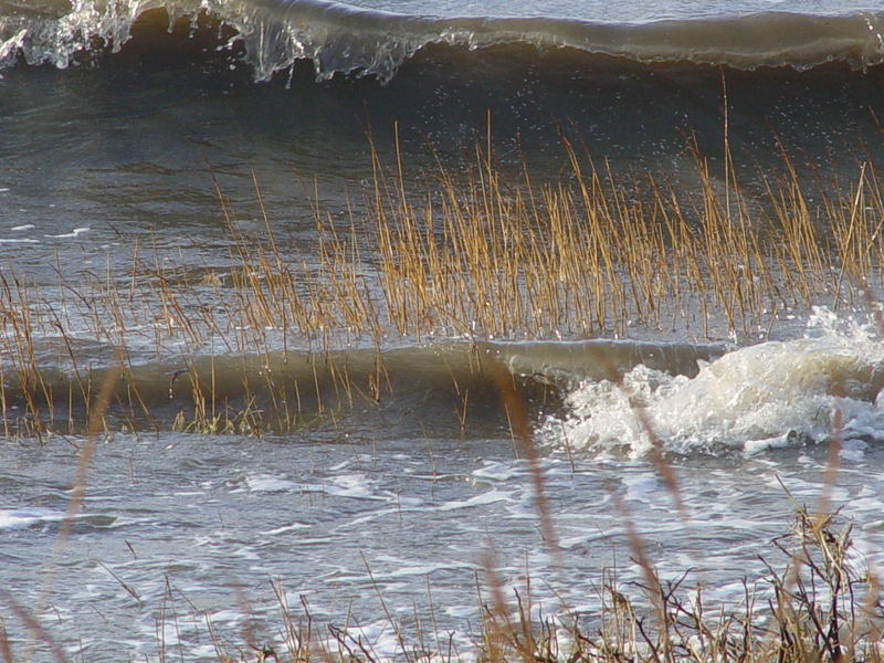 Hochwasser