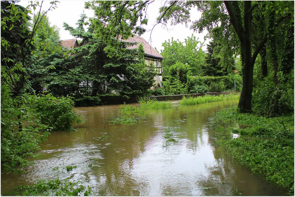 Hochwasser am 03.06.2013