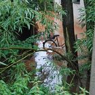 Hochwasser am 07.08.2010