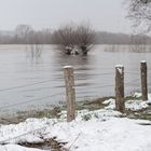 Hochwasser am 09.02.2021             ..120_4427