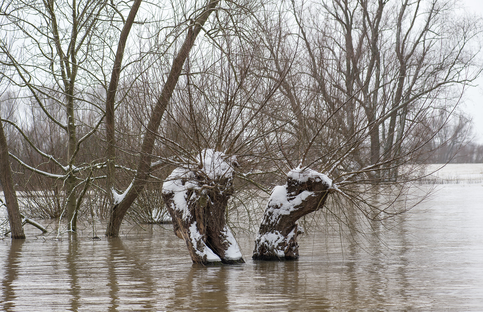 Hochwasser am 09.02.2021 ..120_4429