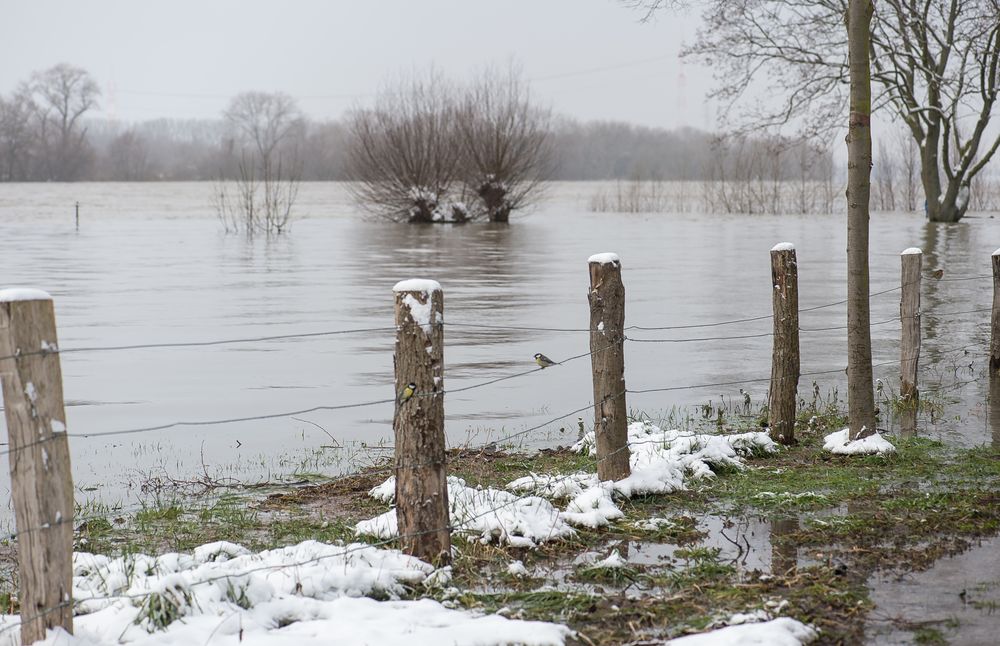 Hochwasser am 09.02.2021 ..120_4430