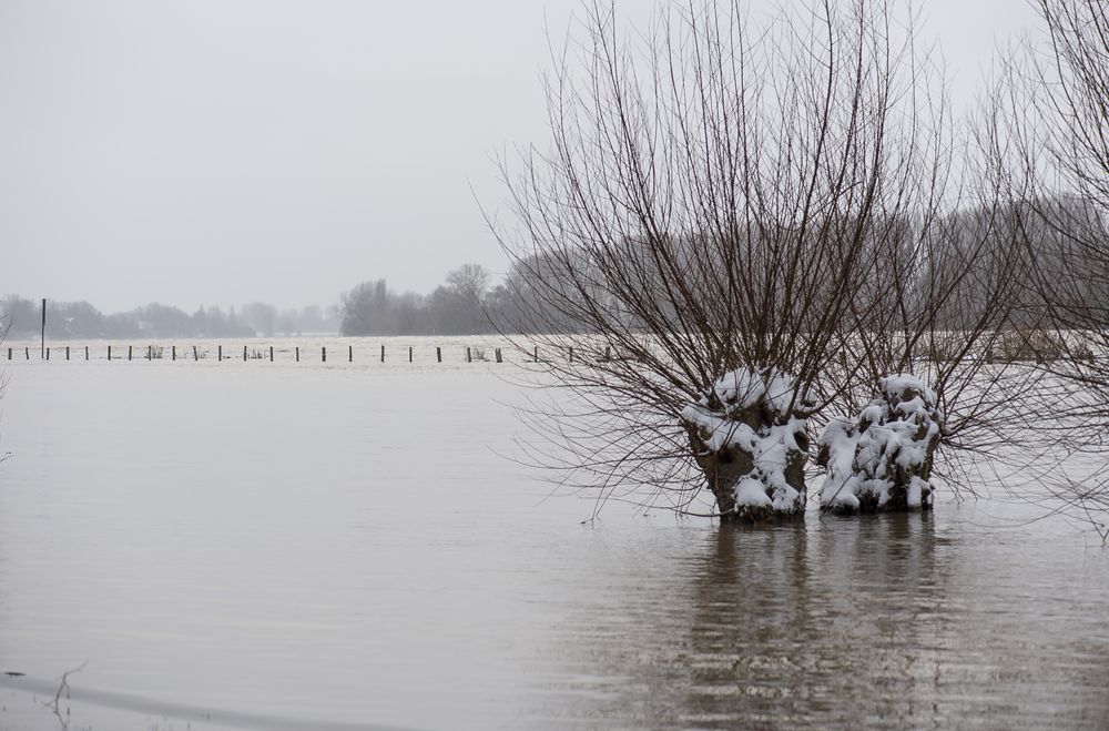 Hochwasser am 09.02.2021 ..120_4432