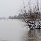 Hochwasser am 09.02.2021 ..120_4432