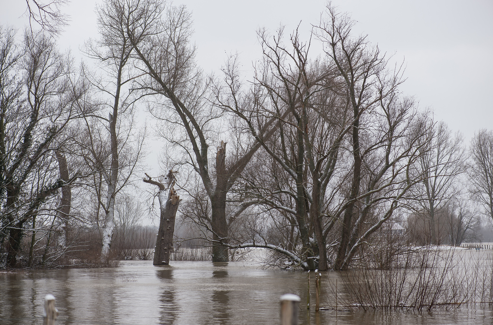 Hochwasser am 09.02.2021 ..120_4433