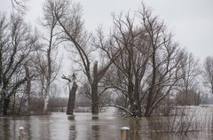 Hochwasser am 09.02.2021 ..120_4433