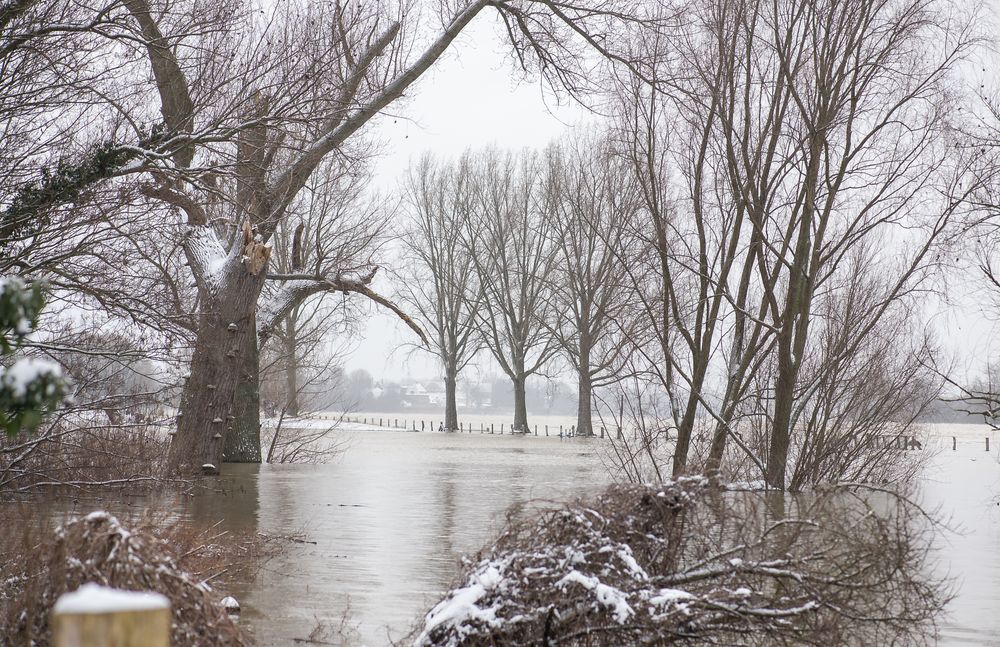 Hochwasser am 09.02.2021 ..120_4437