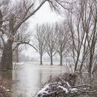 Hochwasser am 09.02.2021 ..120_4437