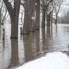 Hochwasser am 09.02.2021 ..120_4452