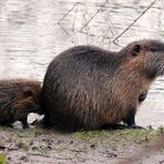 Hochwasser am 24.12...