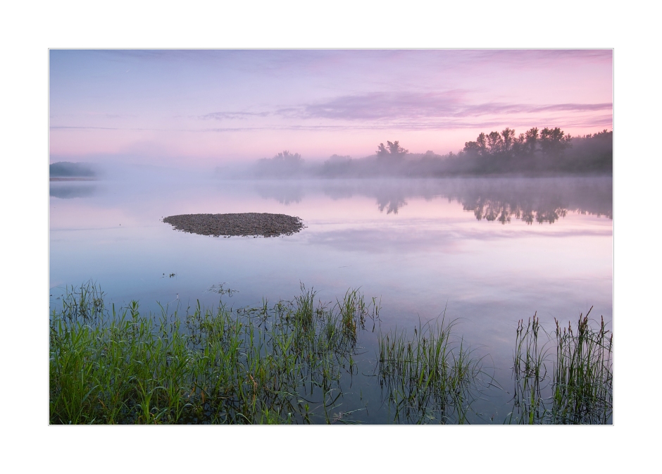 Hochwasser am Altarm am Morgen mit Nebel