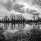 Hochwasser am Altrhein