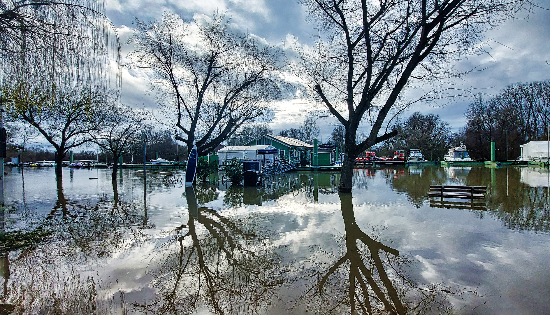 Hochwasser am Altrhein