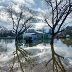 Hochwasser am Altrhein