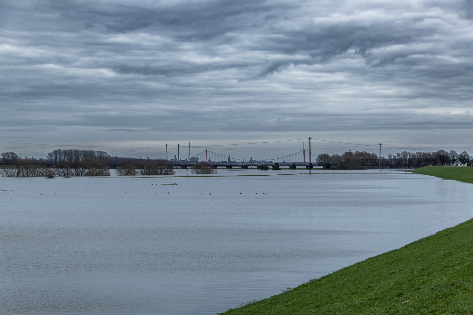 Hochwasser am Altrhein