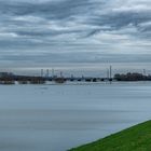 Hochwasser am Altrhein